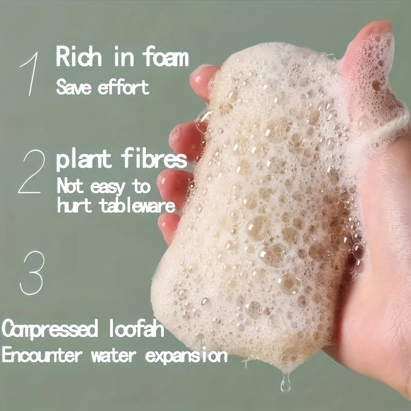 Set de 6 Esponjas de Lufa Natural – Edición Eco Spa